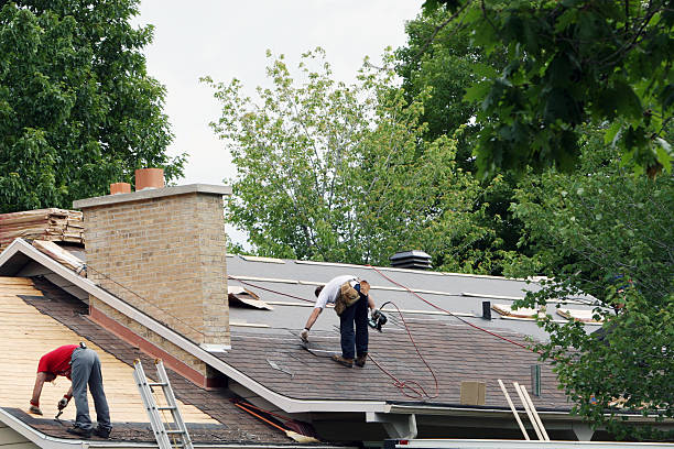 Best Roof Inspection Near Me  in Shenandoah, LA